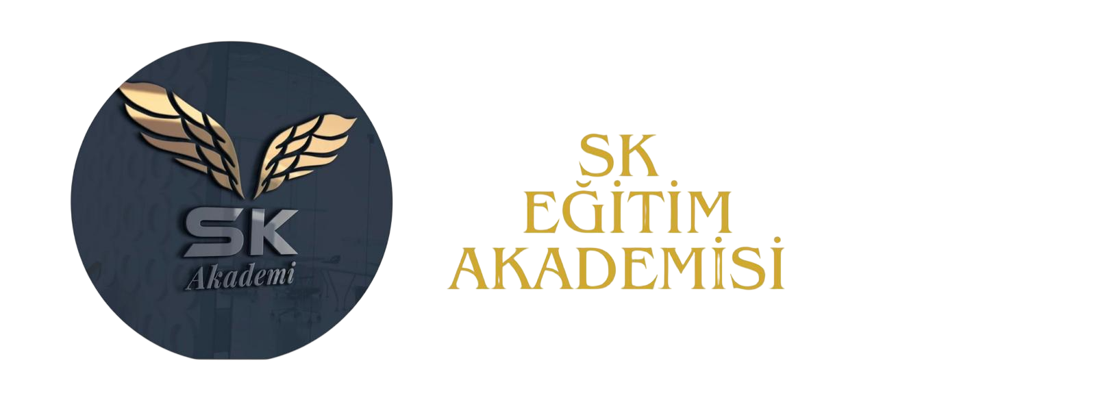 Saniye Köseci Egitim Akademisi Logo