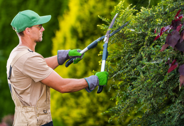 Peyzaj ve Çevre Yönetimi Eğitimi