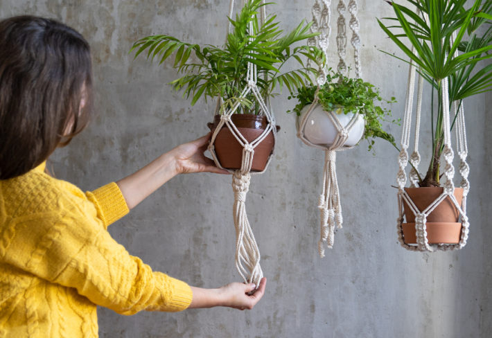 Süs Bitkileri Ustalık Eğitimi